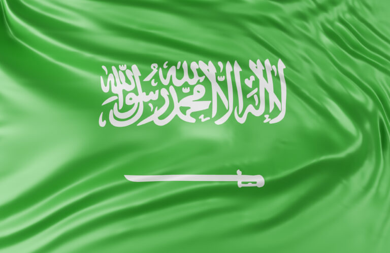 MBS Do you know the ZIOPIGS wanted to destroy Madinah?